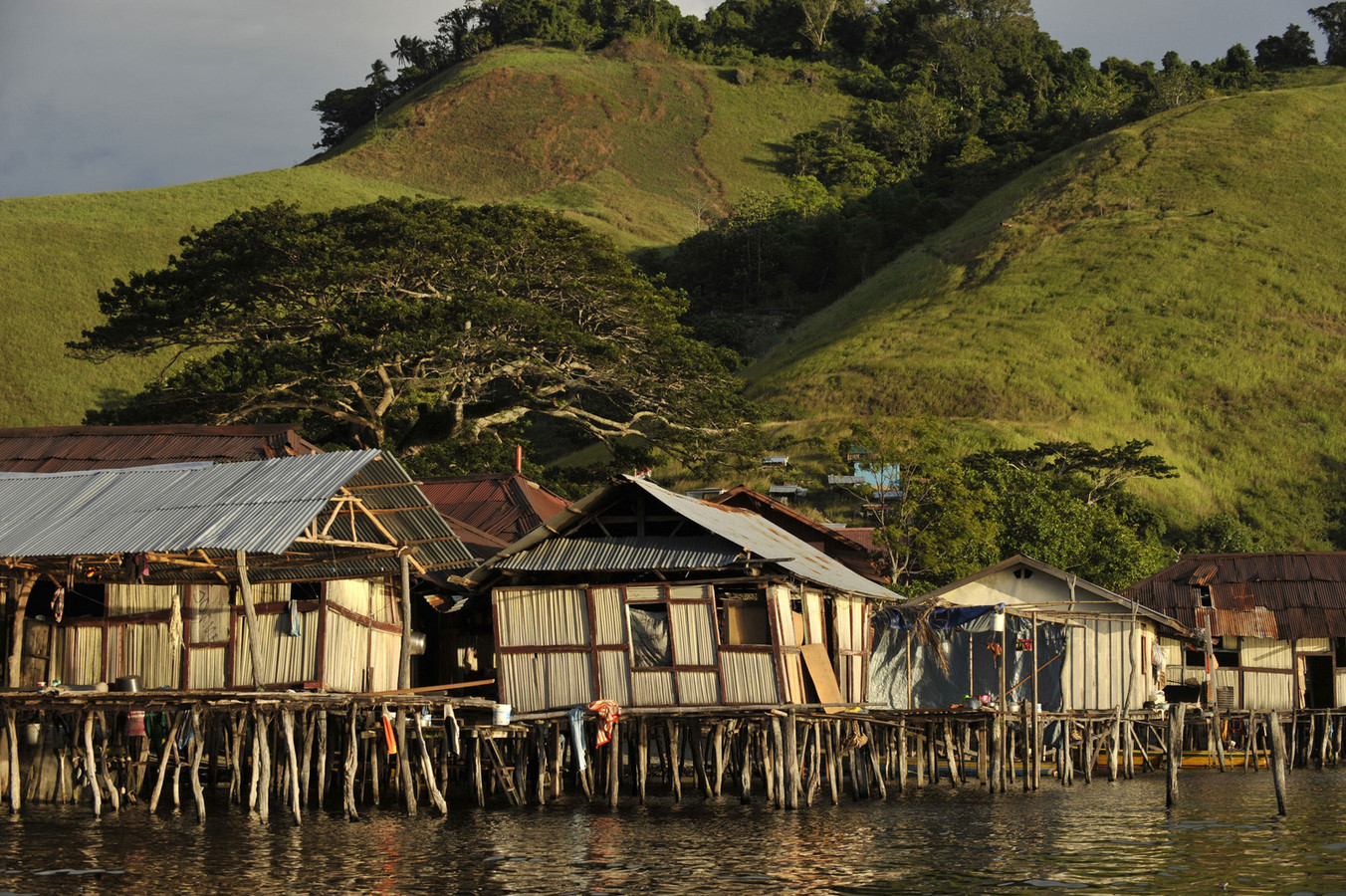 Tsunamiwaarschuwing na aardbeving Papoea-Nieuw-Guinea | Foto | AD.nl - Wat Is De Hoofdstad Van Papoea Nieuw Guinea