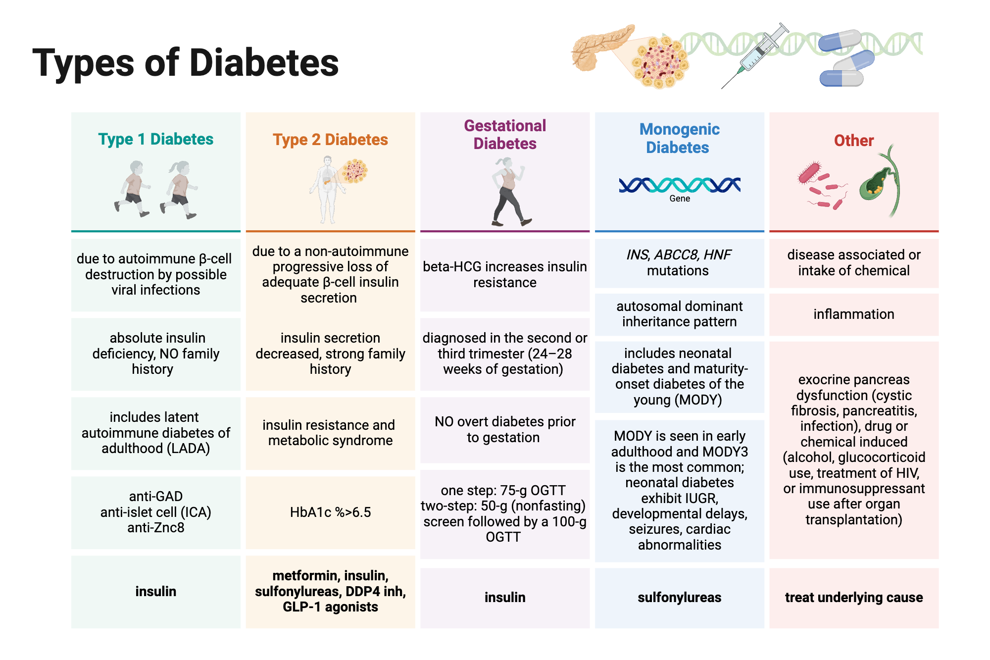 Types of Diabetes | BioRender Science Templates - Welke Types Diabetes Zijn Er