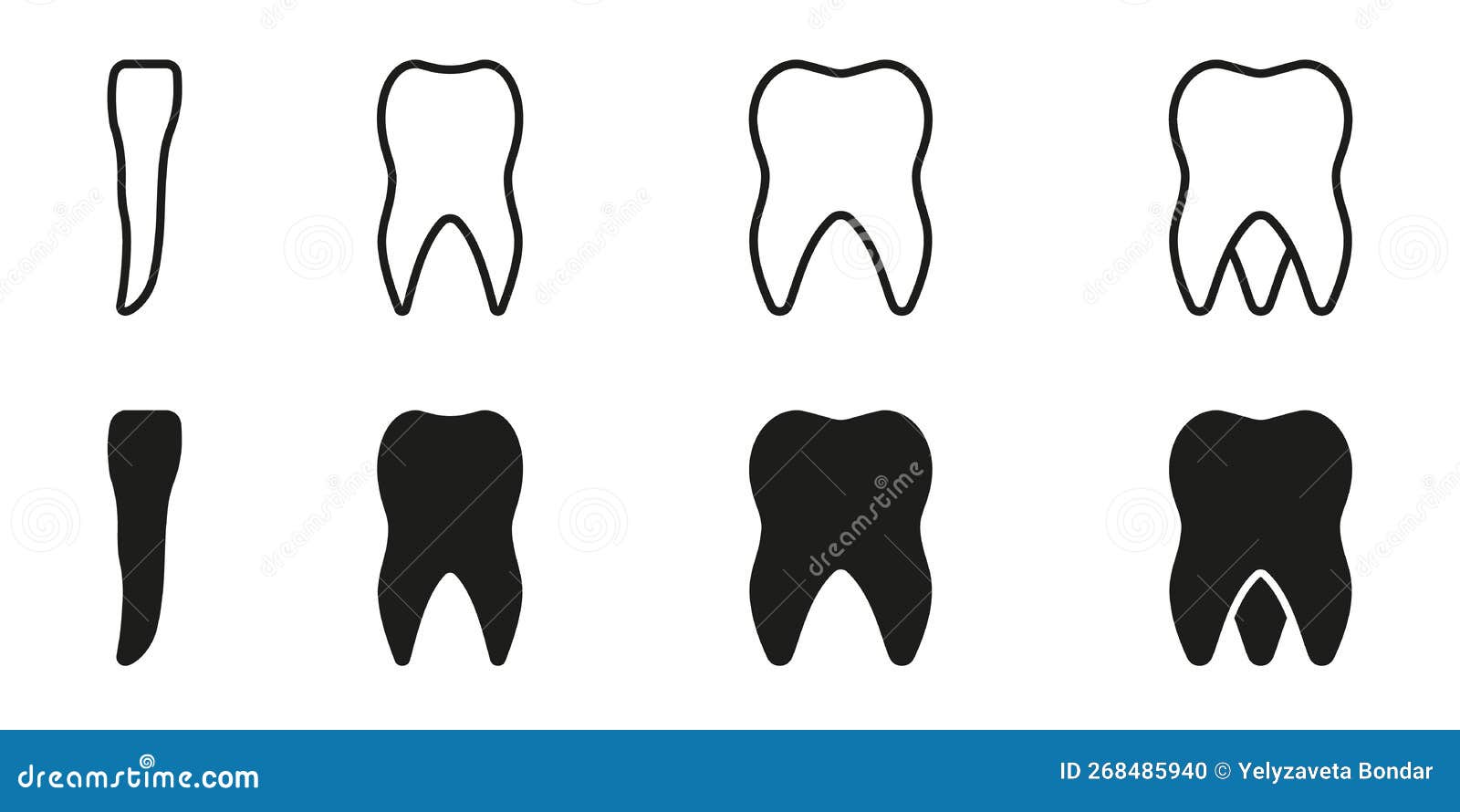 Types Of Human Teeth Line And Silhouette Icon Set. Adult Tooth Anatomy - Hoeveel Snijtanden Heeft Een Mens
