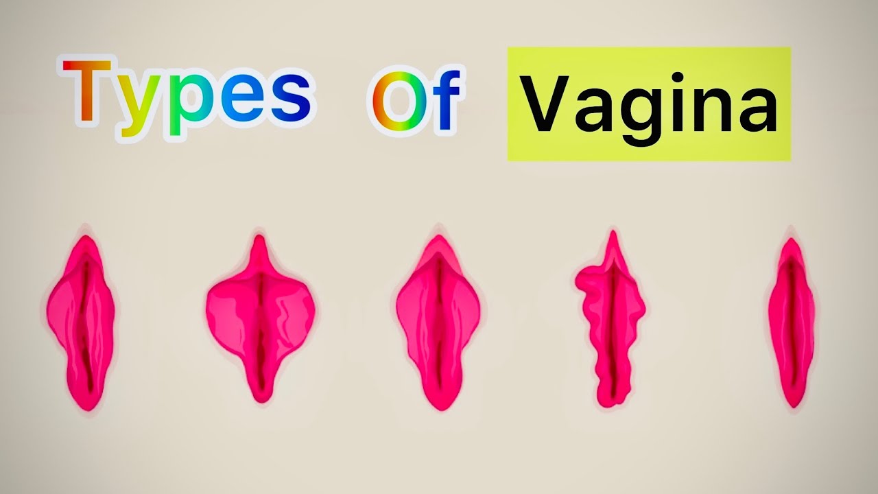 Types Of #Vagina ? Explore 7 types of Vagina - YouTube - Biologische Tekening Van Een Vagina