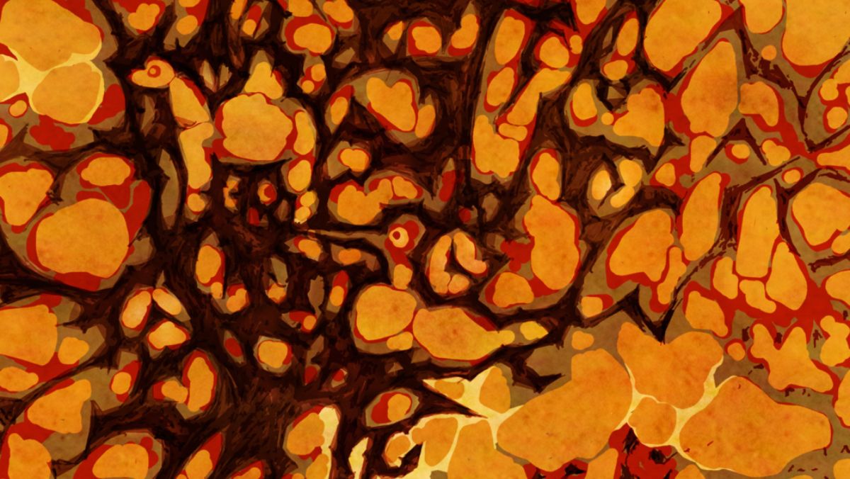 Tzum | Recensie: Anjet Daanje - Het lied van ooievaar en dromedaris - Tzum - Anjet Daanje Het Lied Van Ooievaar En Dromedaris