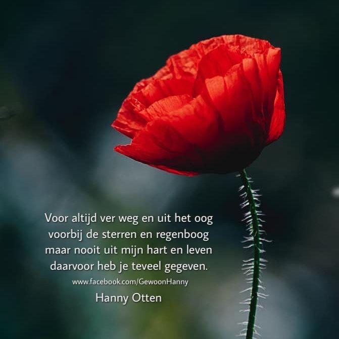 Uit het oog maar niet uit het hart - Uit Het Oog Verloren Personen Zoeken