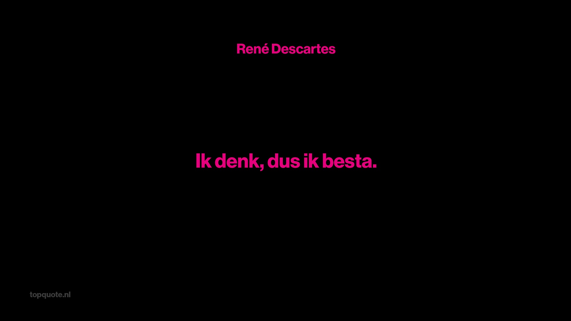 Uitspraak van René Descartes - topquote - Ik Denk Dus Ik Besta