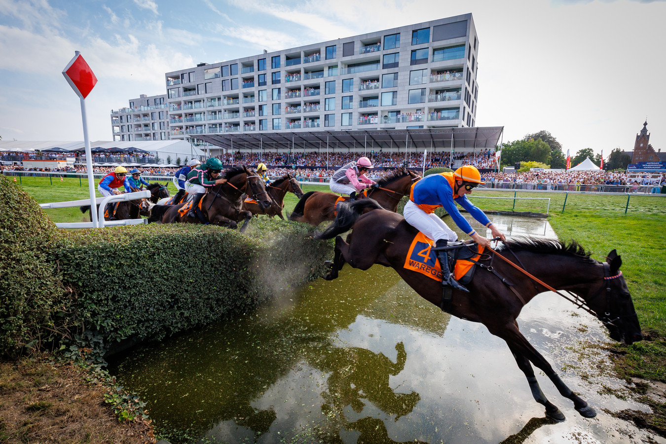 Un cheval euthanasié après une grave chute au Waregem Koerse | Foto - Bevindt Zich In Australie Door Middel Van Een Hoge Opleiding