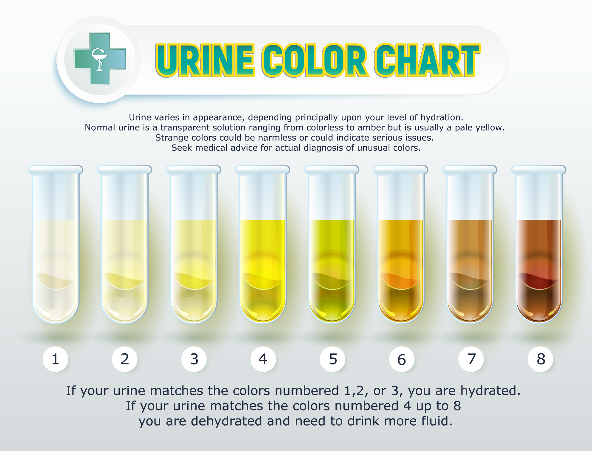 Understanding the Importance of Urine Color | Urology Specialists of - Welke Kleur Urine Bij Nierfalen