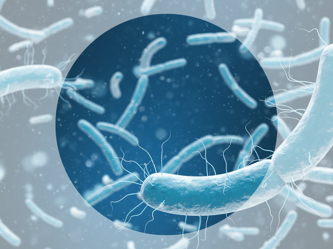 Understanding the Presence of Nitrite in Urine - Wat Is Nitriet In Urine