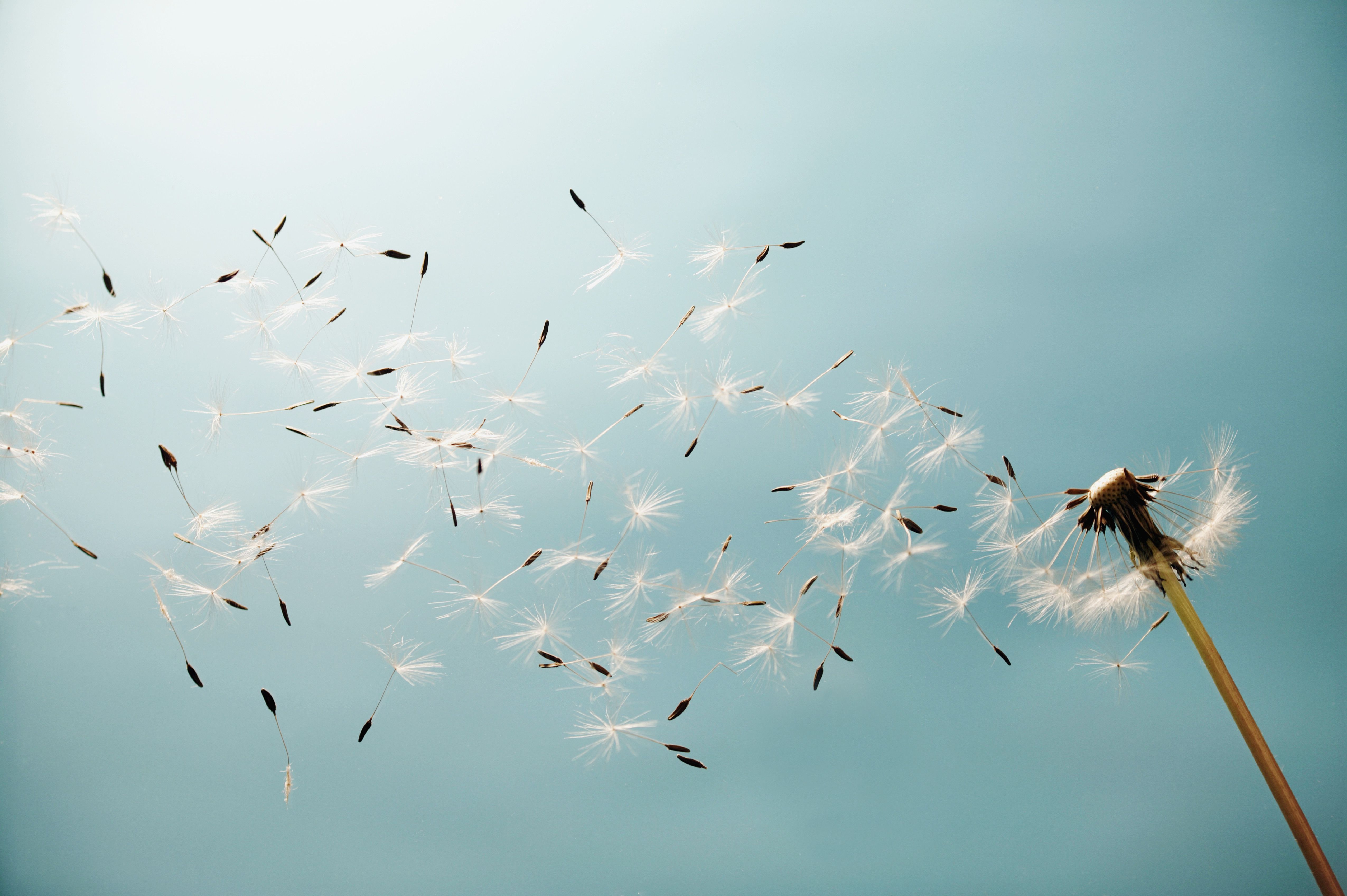 Understanding Winds: The Atmosphere in Motion - Wind In De Tropen 7 Letters