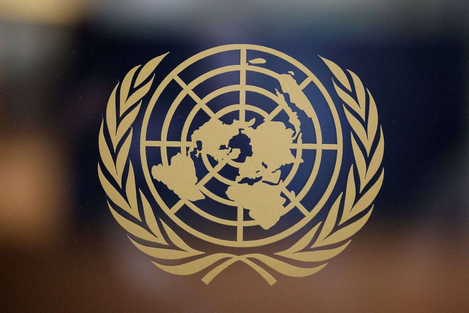 United Nations (UN) Essay And Art Competition - Mikey Live - Un Sac De Billes Samenvatting