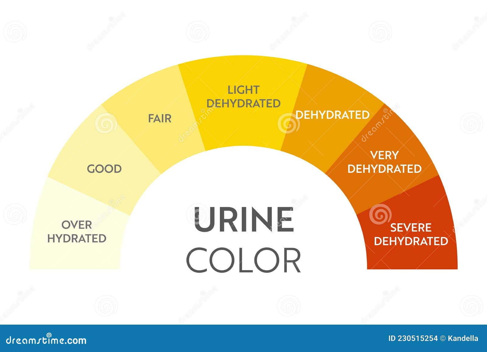 Urine Color Chart . Vector Illustration | CartoonDealer.com #230515470 - Welke Kleur Urine Is Goed