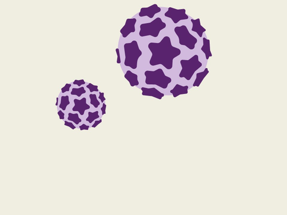 Using HPV tests for cervical cancer screening and managing HPV-positive - Pap 1 En Hpv Positief