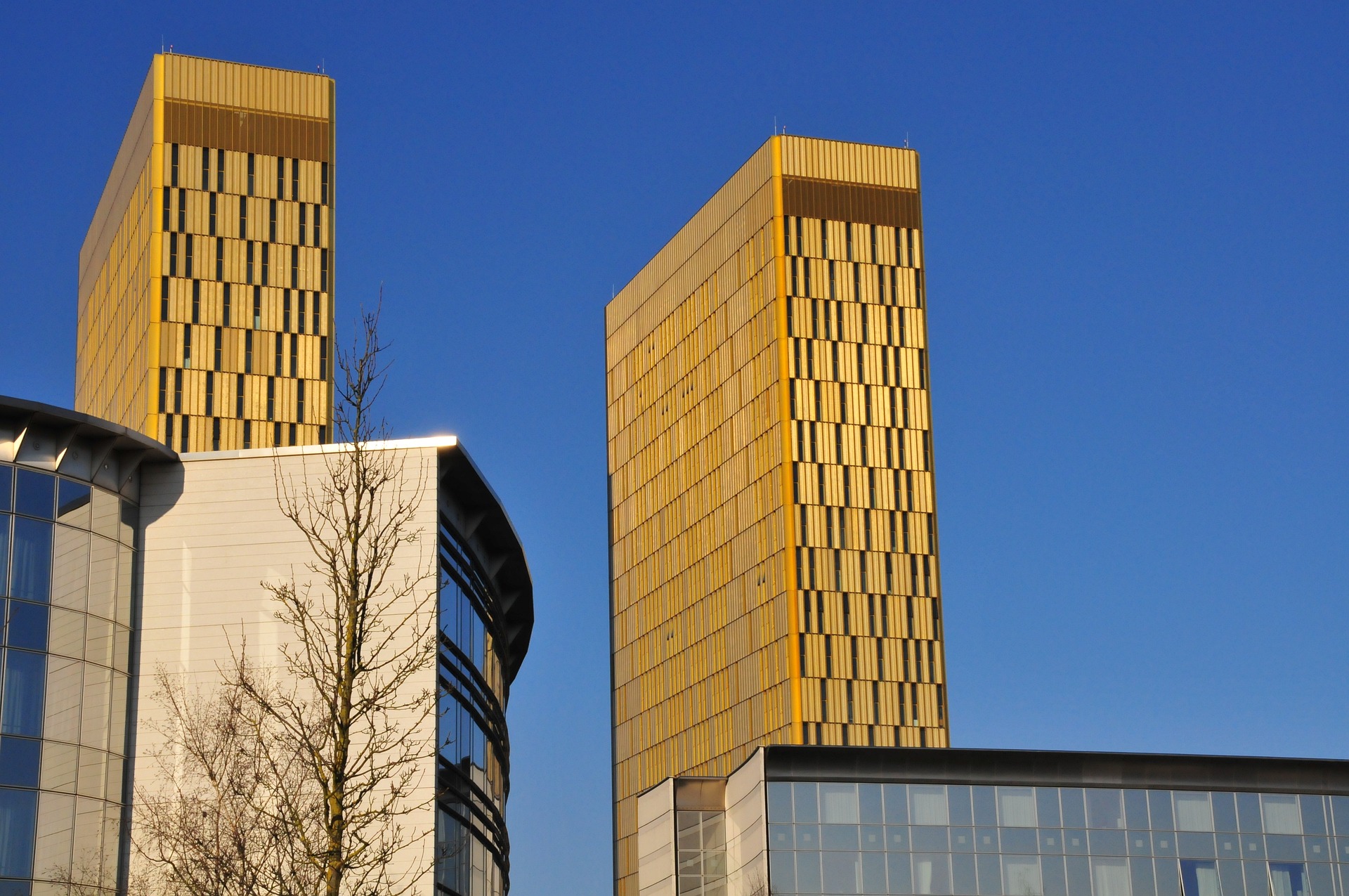 Van Gend en Loos case - Latest blog articles - Maastricht University - Van Gend En Loos Case
