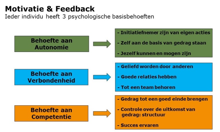 Van plan naar actie - Zelf Determinatie Theorie Deci En Ryan