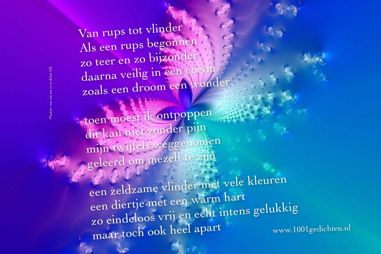 Van rups tot vlinder | Spreuken, Vlinders, Rups - Werkblad Van Rups Tot Vlinder