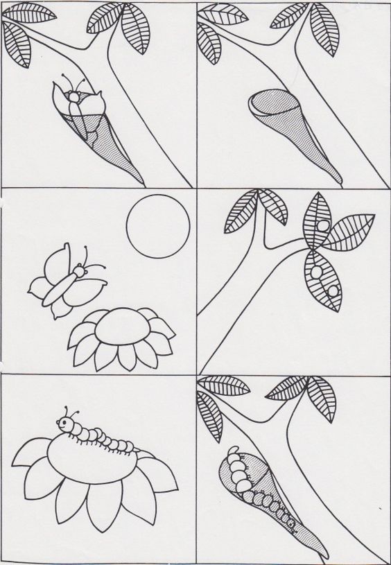 Van rups tot vlinder | Thema: Rupsen en Vlinders | Pinterest | Van - Welke Rups Wordt Welke Vlinder