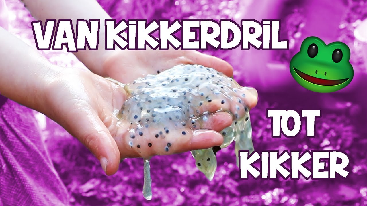 VAN SLIJMERIG KIKKERDRIL, TOT COOLE KIKKERS!! [kikkervisjes vangen - Hoe Lang Kan Een Kikker Zonder Water