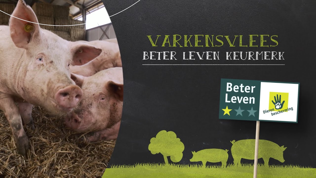 Waarom Eten Moslims Geen Varkensvlees Wikipedia
