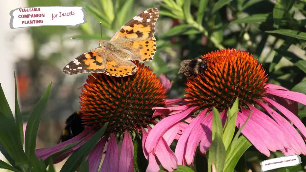 Vegetable Companion Planting For Insects : Secret Life of Homesteaders - Gaan Bijen Dood In De Winter