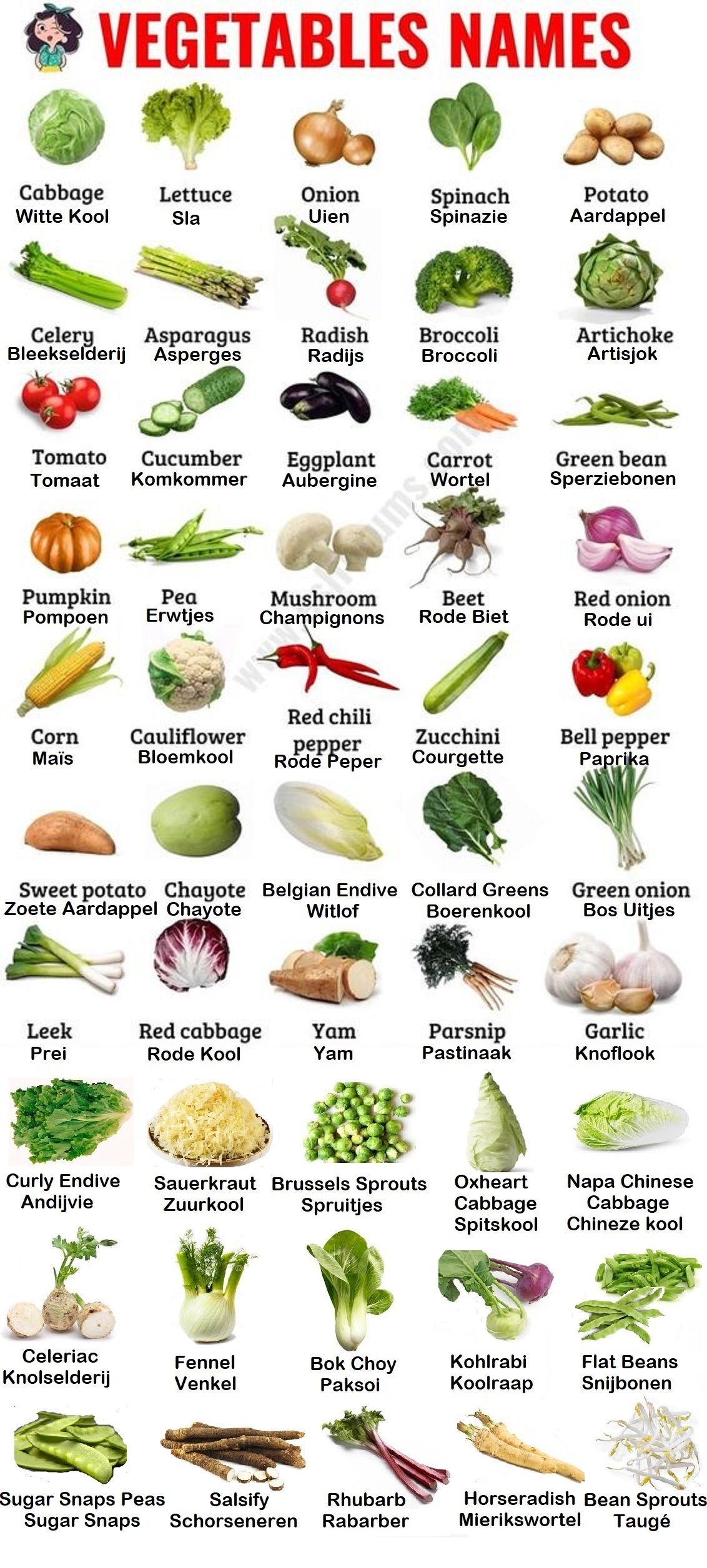 Vegetable Names in English and Dutch - Welke Groente Is Het Nationale Symbool Van Wales