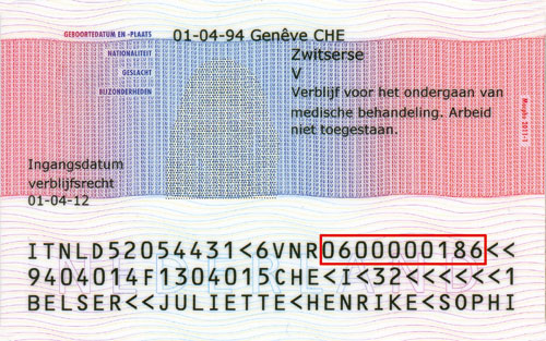 Wat Krijgt Een Asielzoeker Met Verblijfsvergunning