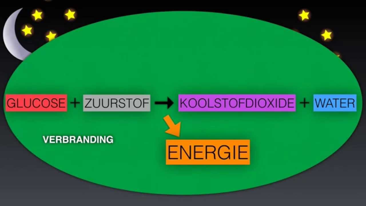 Verbranding in planten (eenvoudige uitleg) - YouTube - Welke Giftige Stof Komt Er Vrij Bij Een Onvolledige Verbranding