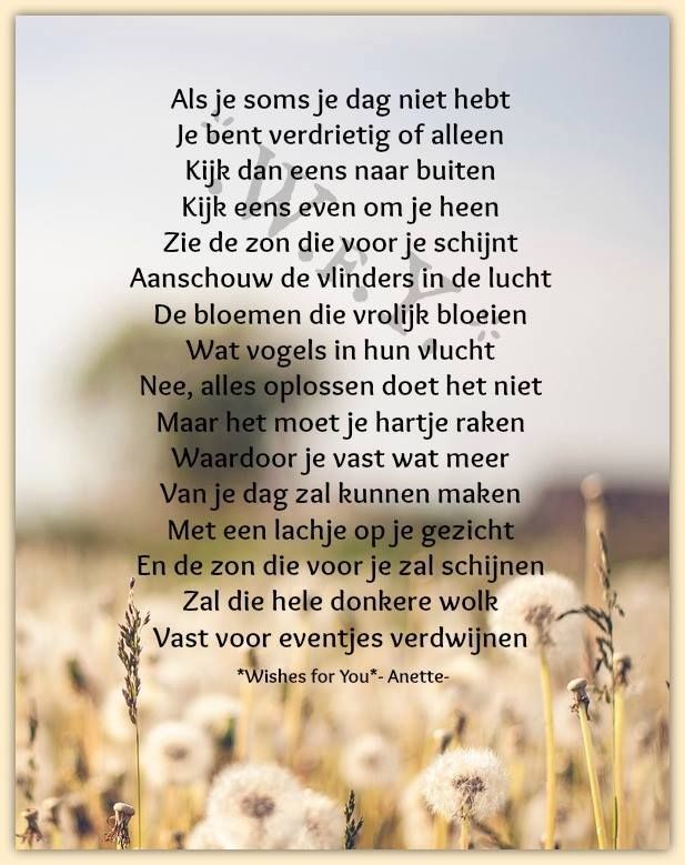 Hoeveel Verdriet Kan Een Mens Verdragen