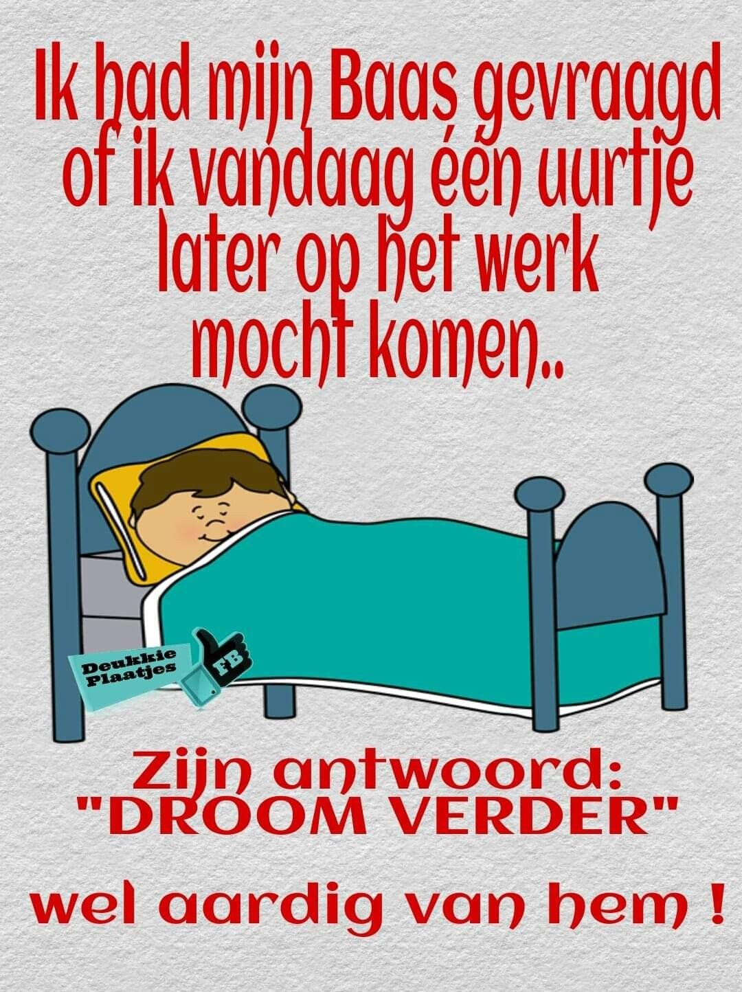 Verkeerd begrepen Sarcasm, Cartoons, Jokes, Family Guy, Letters, Funny - Geen Aanpak Die Goed Begrepen Wordt