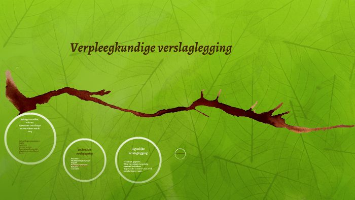 Verpleegkundige en verzorgende verslaglegging by on Prezi - Richtlijn Verpleegkundige En Verzorgende Verslaglegging