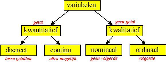 Verschil Kwalitatief En Kwantitatief - Wat Is Het Verschil Tussen Kwalitatief En Kwantitatief