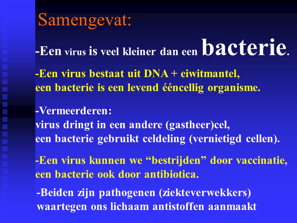 VERSCHIL TUSSEN VIRUS EN BACTERIE. - ppt video online download - Wat Is Het Verschil Tussen Een Bacterie En Een Virus