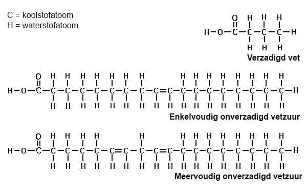 Verschillen tussen verzadigd en onverzadigd vet - Wat Is Beter Verzadigde Of Onverzadigde Vetten