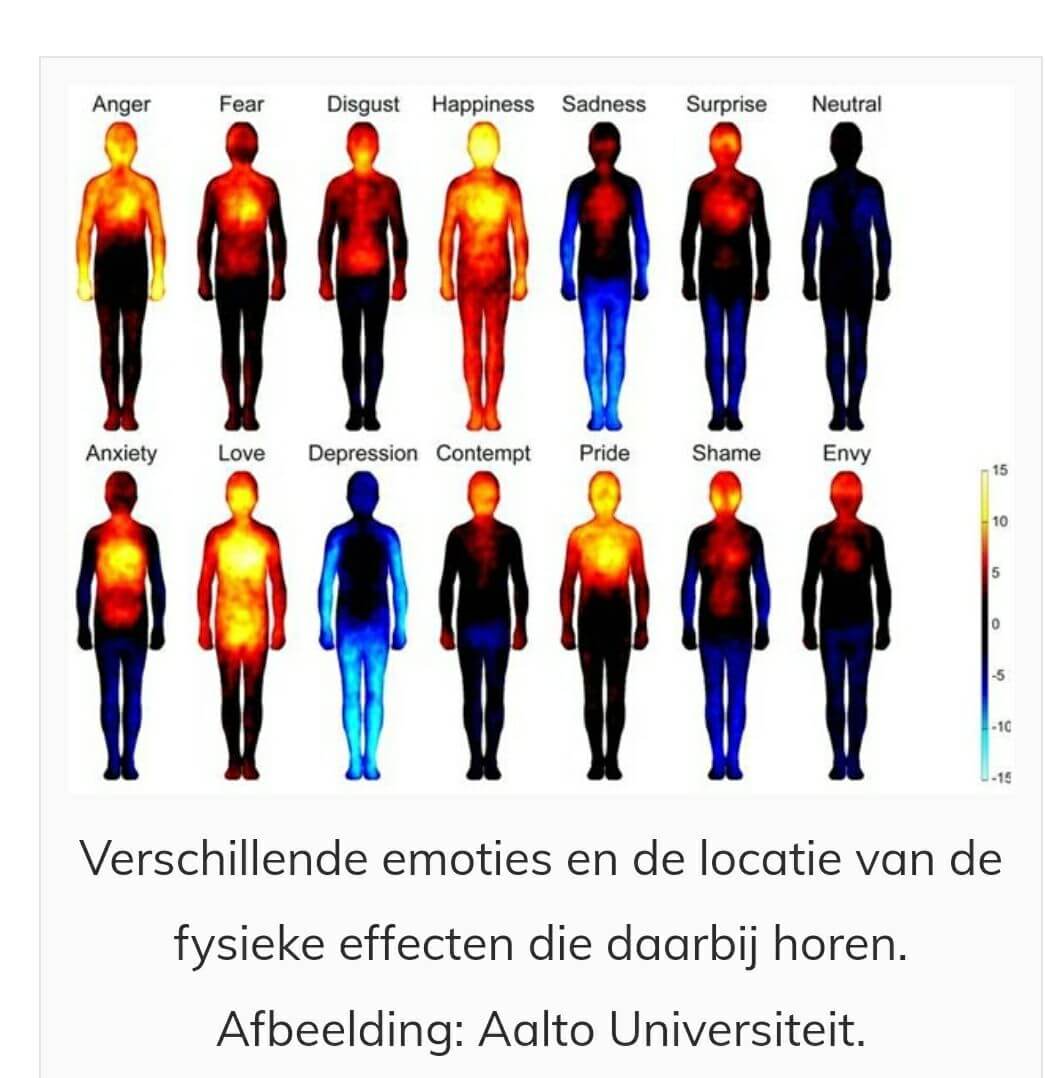 Verschillende emoties en de waar we dan iets voelen - Habits Of Mind - Mannen Die Geen Emoties Tonen