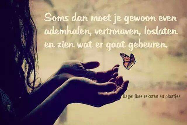 Vertrouwen Cool Words, Wise Words, Words Of Wisdom, Lovely Quote - Gebed Om Kracht En Vertrouwen