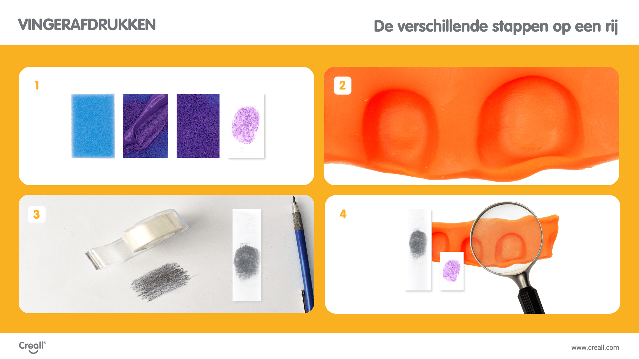 Vingerafdrukken - Leapo - In Welke Hoofdgroepen Worden Vingerafdrukken Ingedeeld