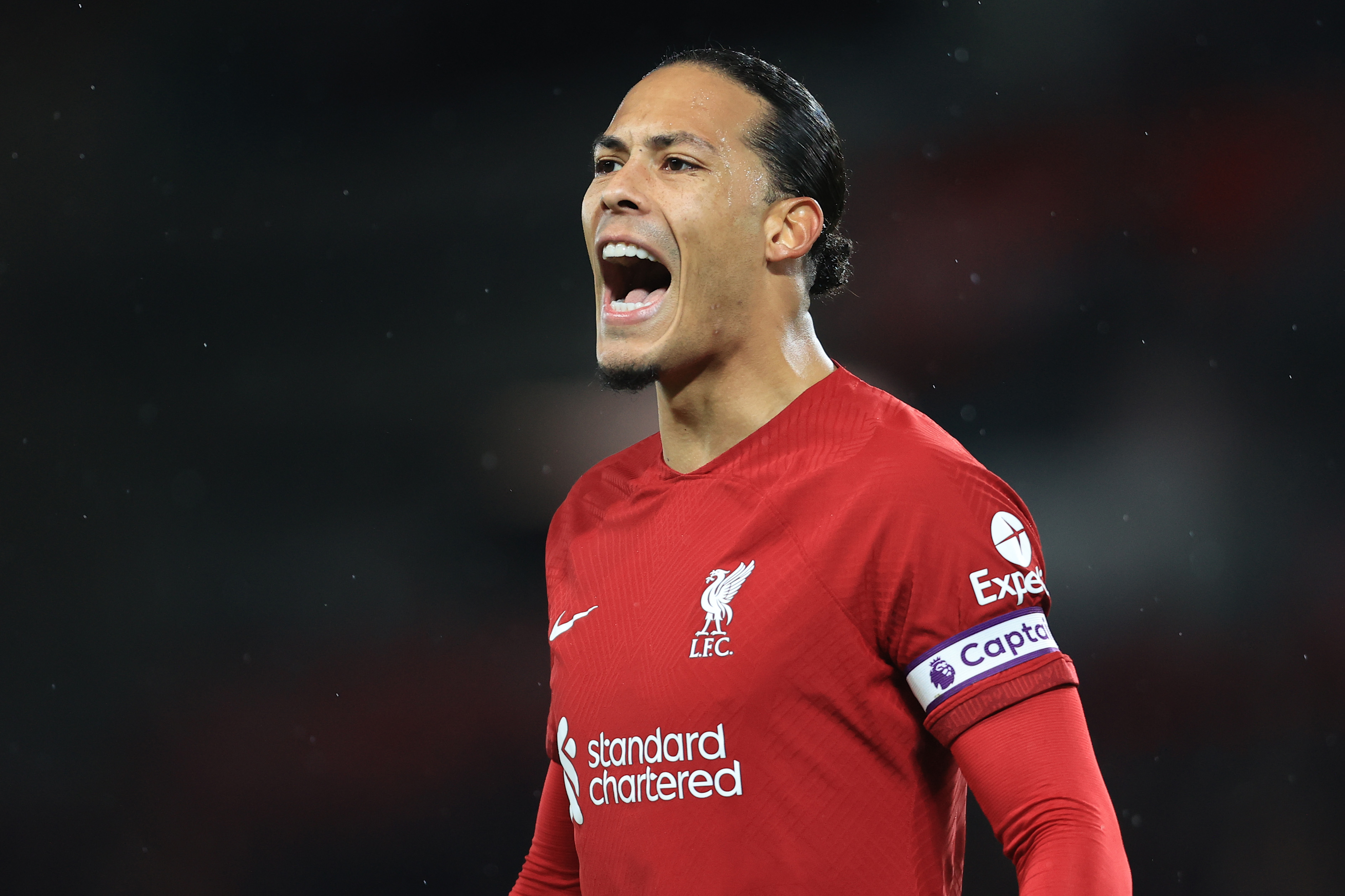 Virgil Van Dijk Birthday 2025 - Viola Jessamyn - Waar Is Virgil Van Dijk Geboren