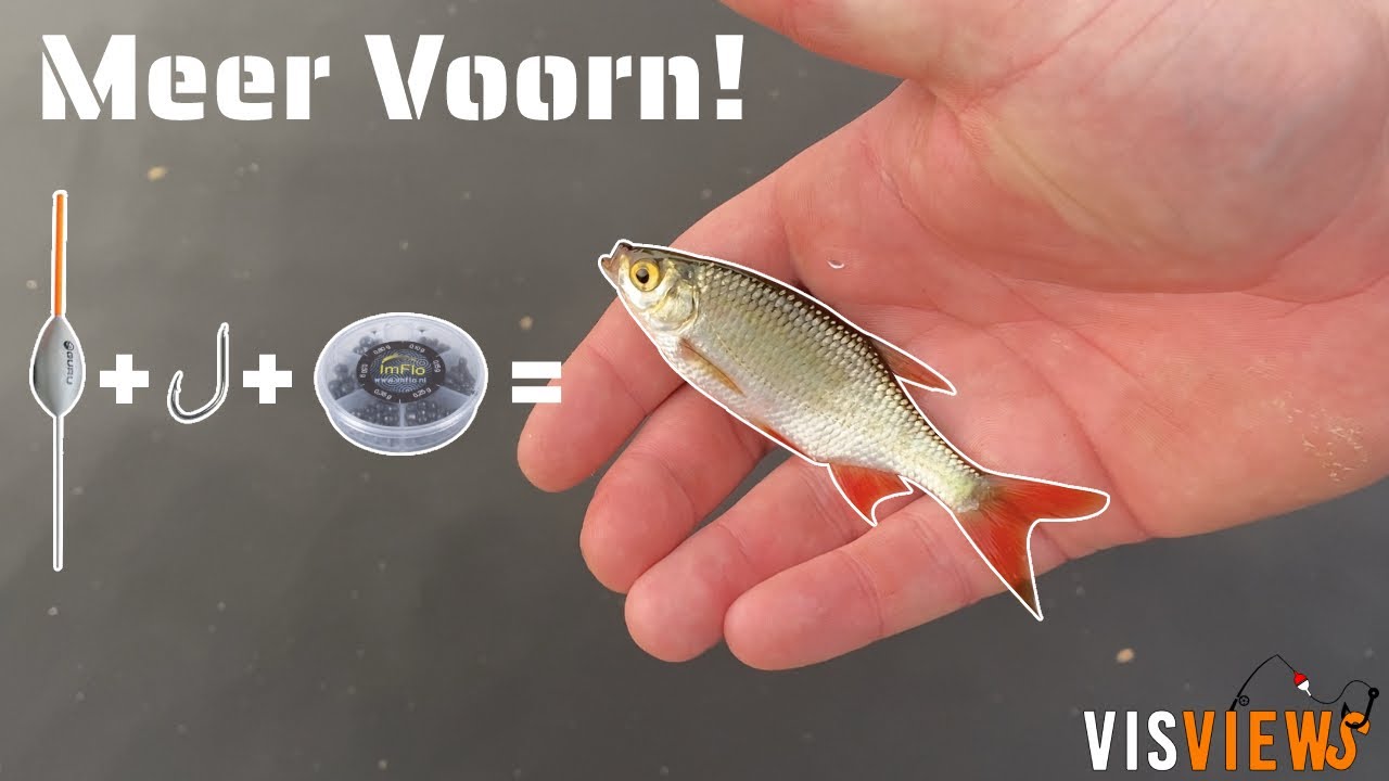 VISSEN OP VOORN! Hoe Maak Je Een Dobber Montage Voor De Werphengel En - Horoscoop Vissen In Het Engels