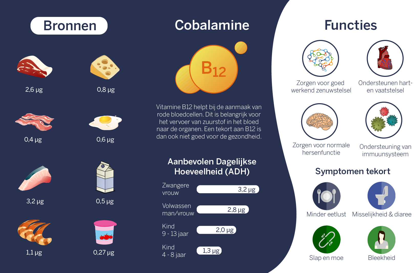 Waar Zit Vitamine B1 In