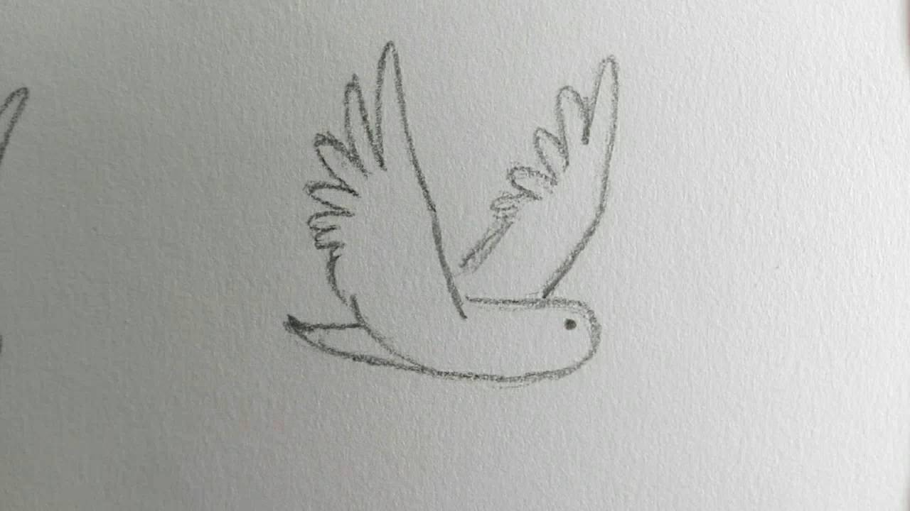 Maakt Dat Een Vogel Kan Vliegen