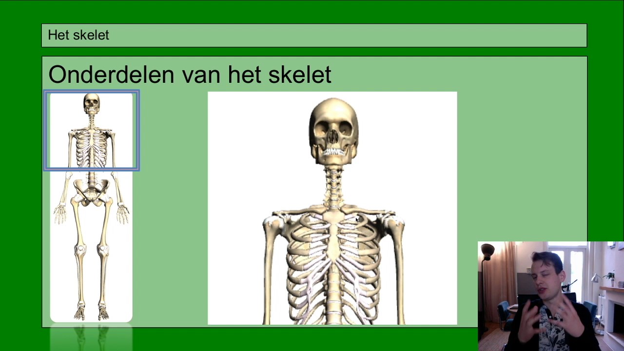 VMBO HAVO 1 | Stevigheid en beweging | Basisstof 1 Het skelet - YouTube - Hoeveel Botten In Een Hand