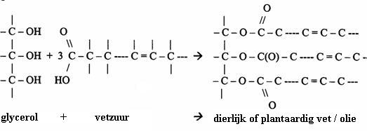 Voeding en vertering - Mind42 - Verschil Verzadigd En Onverzadigd Vet