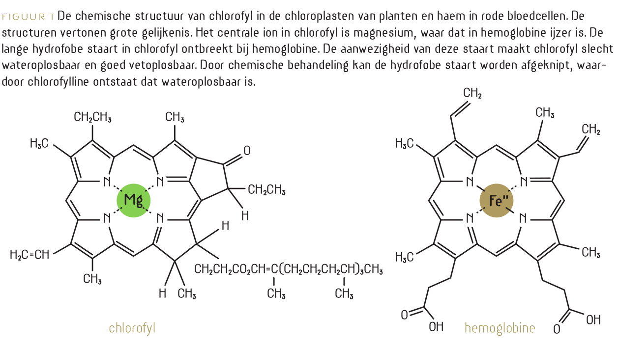 Voedingsgeneeskunde | Platform voor voedingsgeneeskunde - Hoe Wordt Chlorofyl Ook Genoemd