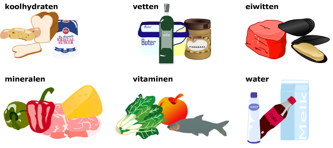 Welke Voedingsstoffen Heb Je Nodig