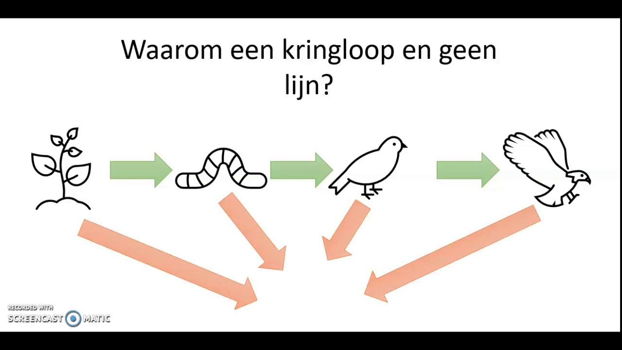 Voedselkringloop - YouTube - Wat Is Een Trofisch Niveau