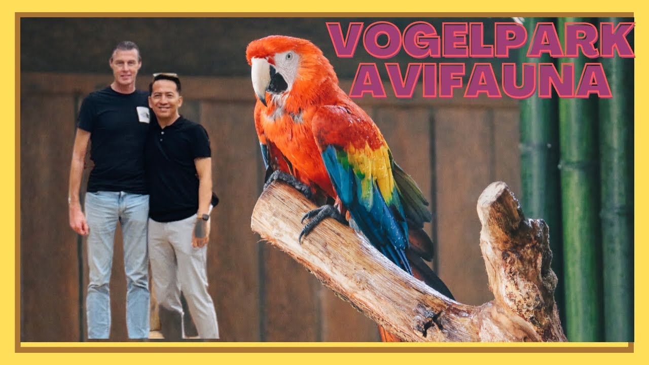 Vogelpark Avifauna Part 1 | Alphen aan den Rijn The Netherlands 🇳🇱 - Vogelpark Avifauna Hoorn Alphen Aan Den Rijn