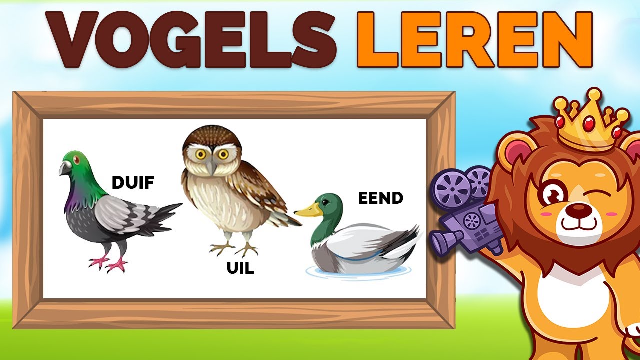 Vogels Leren 🐦 | Vogels Leren Herkennen | NL Gesproken - YouTube - Blauwe Eieren Van Vogels Herkennen