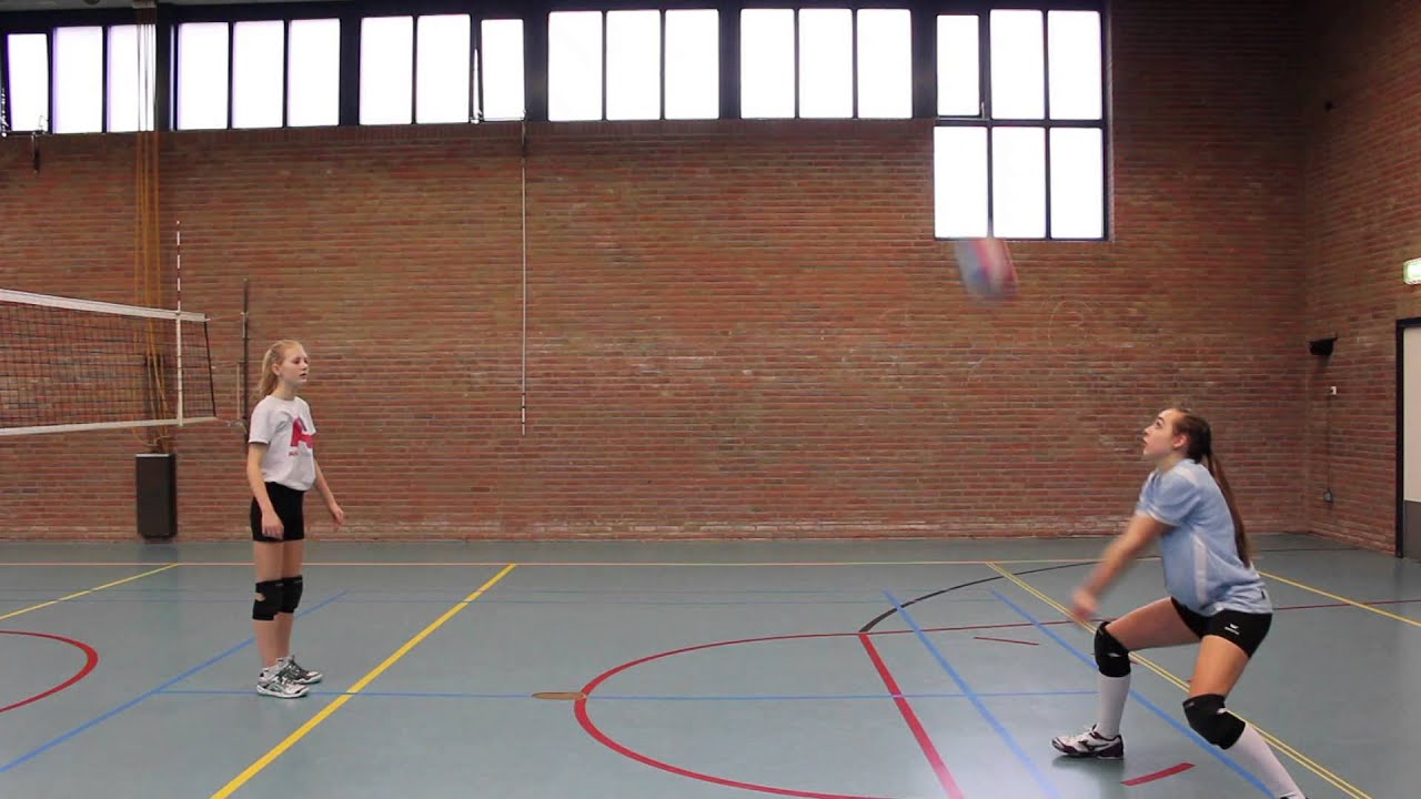 Hoe Ziet Een Volleybal Eruit