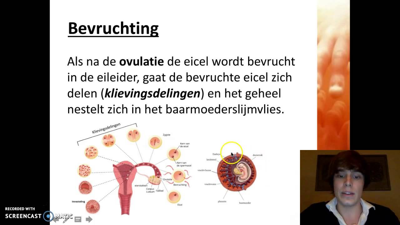 Voortplanting - Zwangerschap en geboorte - YouTube - Met Hoeveel Botten Wordt Een Baby Geboren