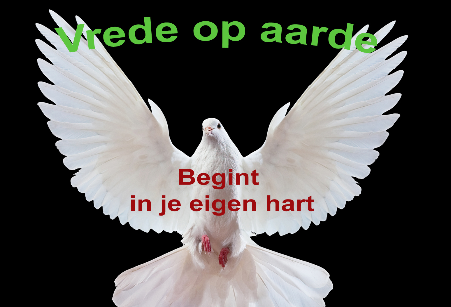Vrede op aarde... - Wijwereld - Vrede Op Aarde Tekst