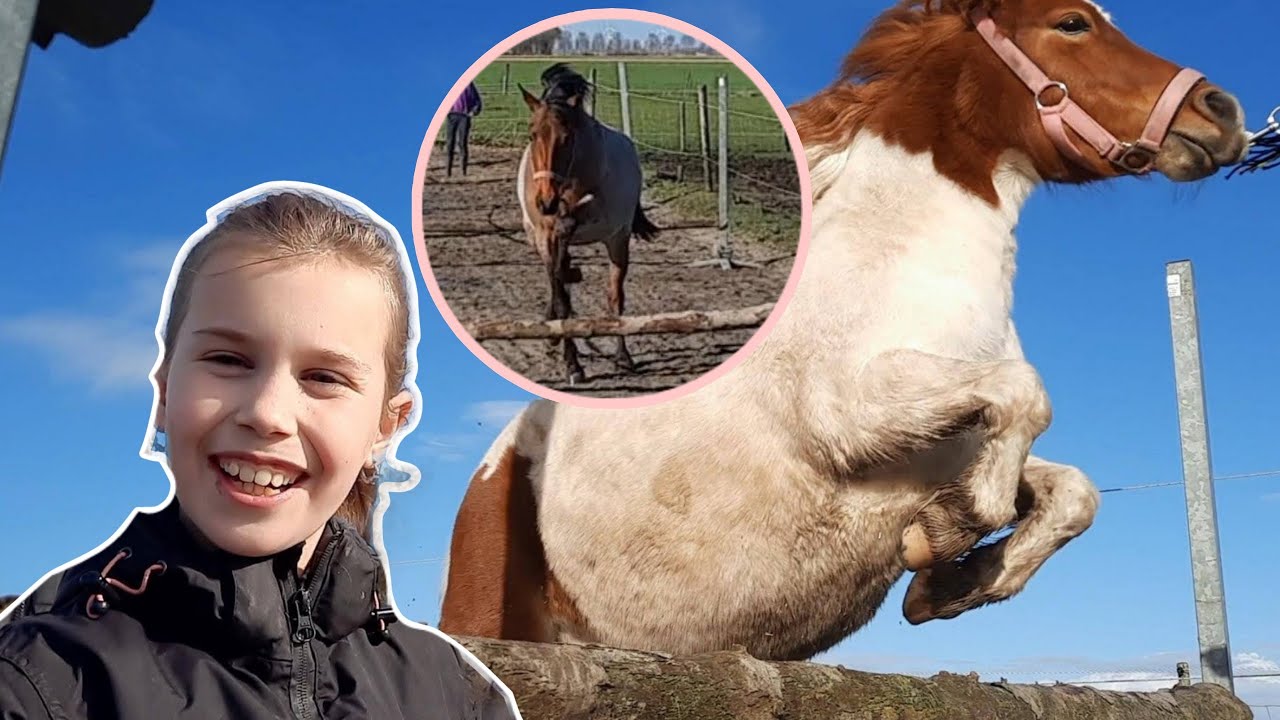 Hoe Heet Het Amerikaanse Cowboyfeest Met Paarden