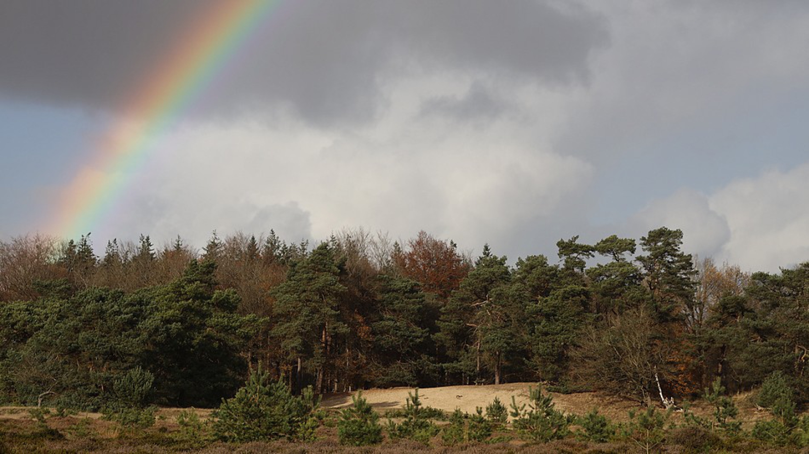 Vroege vogels Foto - Weer en landschap - Aan het einde van de regenboog.... - Aan Het Einde Van De Regenboog