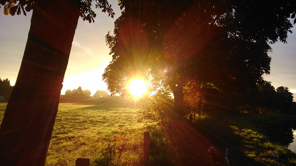 De Zon Komt Op In Het